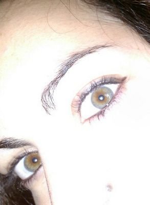 LorePeke7's profile picture. 