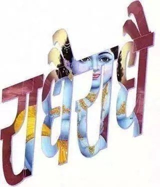 अखिल भारतीय अग्रवाल संगठन प्रदेश सचिव राजस्थान
अखिल भारतीय अग्रवाल संगठन जिलाध्यक्ष डीडवाना कुचामन