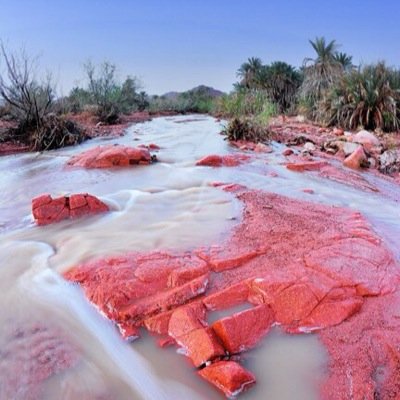 saifmrg's profile picture. 