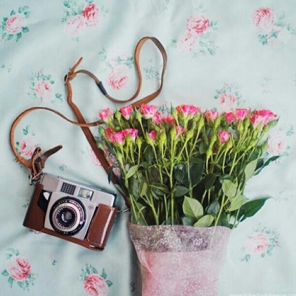 ASSF336's profile picture. 