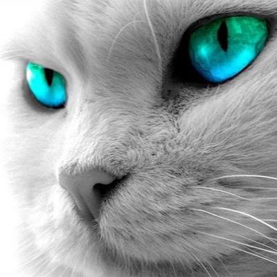 yatarom3's profile picture. 