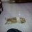 bony_hans's profile image
