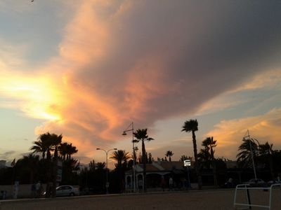 Picture