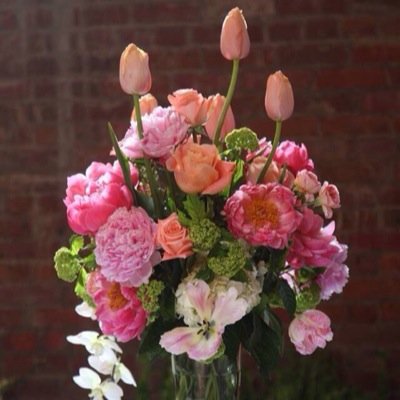 vincent_li_van's profile picture. 