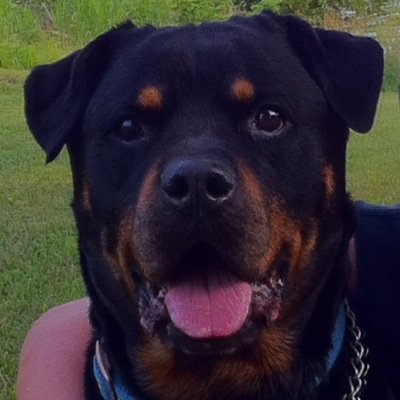 Mojoman45's profile picture. 