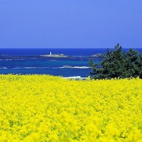 Zirok111's profile picture. Українець