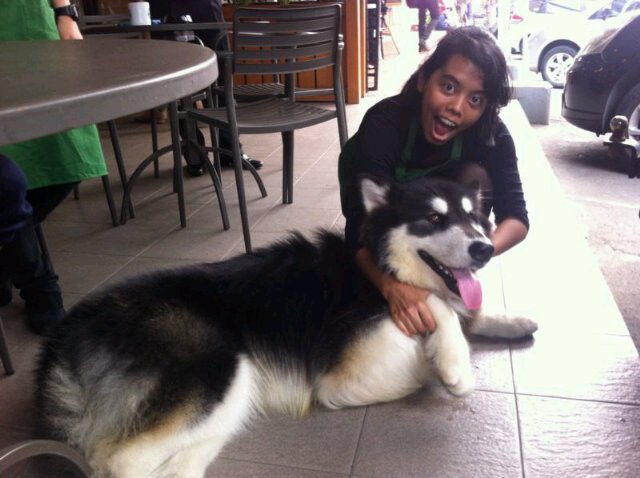 yasinthatolok's profile picture. Future Drummer | ::Venice,Italy::