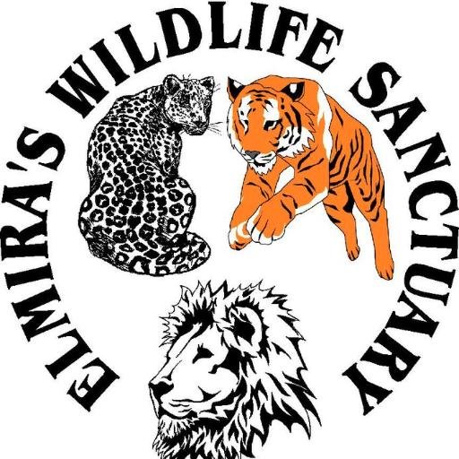 We provide continuing care, life management and enrichment to exotic and wild animals in need of a home.