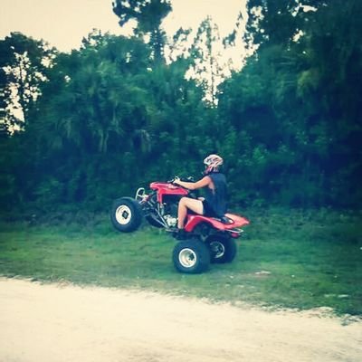 1989rm125rider's profile picture. les ride