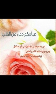 ‏سيف حسين