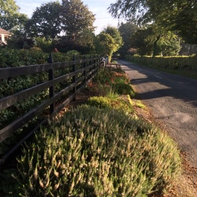 EddieMurphy0's profile picture. 