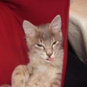 Franz Strasser - @FranzStrasser2 - Twitter