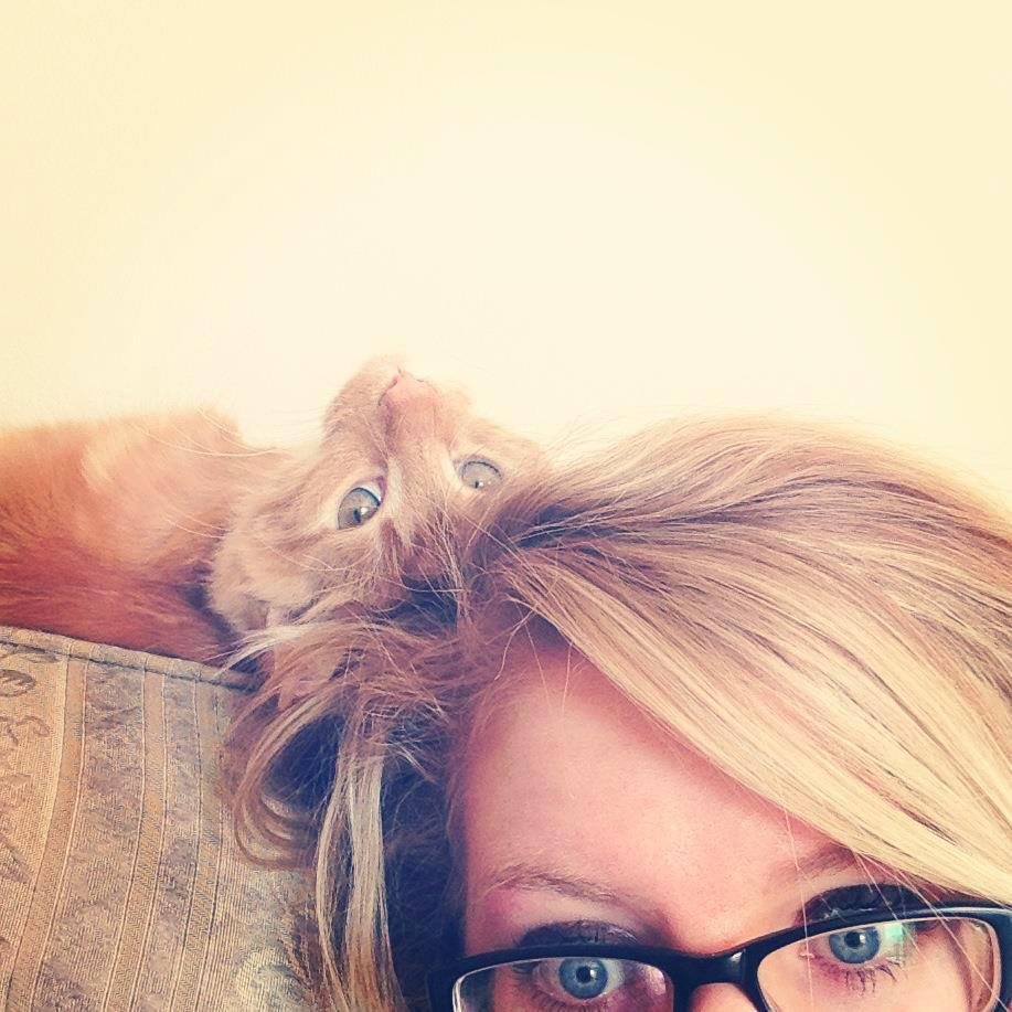 lgvmacdonald's profile picture. great hair; terrible personality