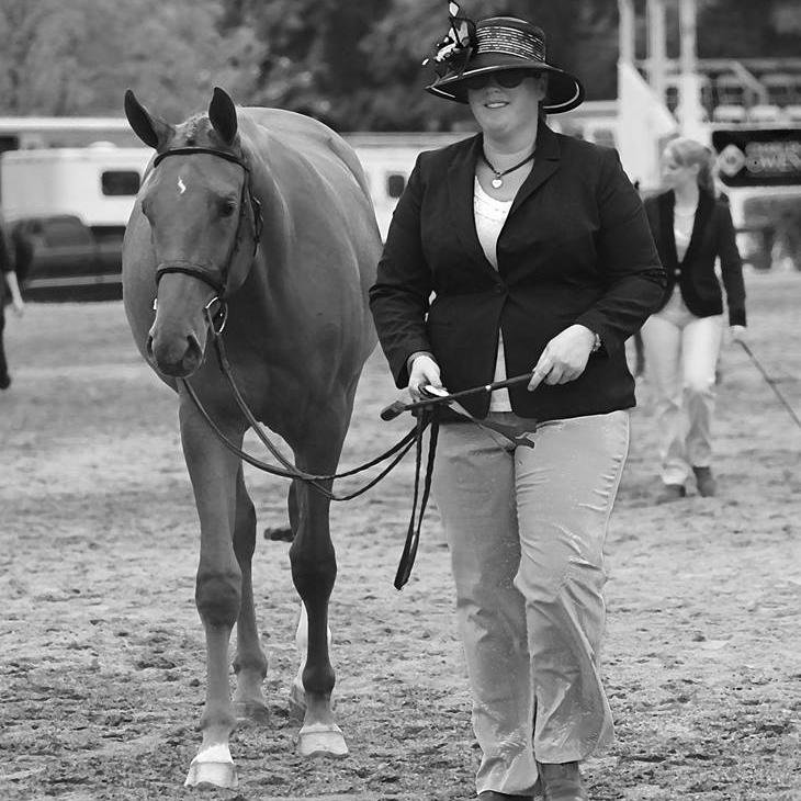 Neighland's profile picture. We specialize in breeding horses for the performance ring that are also ammie/jr friendly!! Check out our website http://t.co/gb2FhZ1vRu