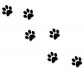 rumpeltweet's profile picture. I'm pushing an elephant up the stairs I'm tossing up punch lines that were never there. Over my shoulder a piano falls... crashing to the ground