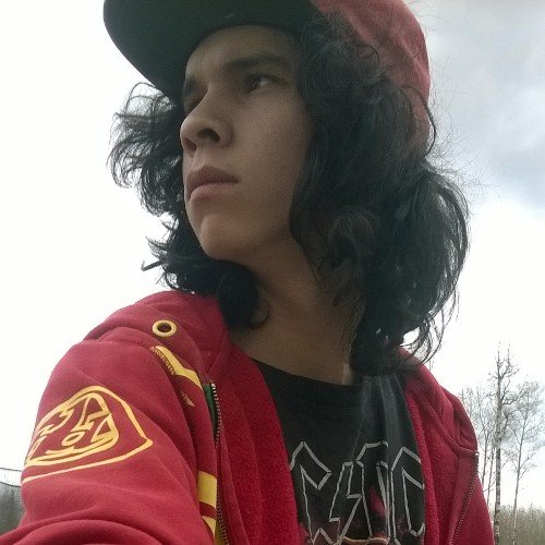 |pot head|guitarist|gamer|music lover|good friend|outgoing mostly|science freak|believer|online gamer|anime fan|