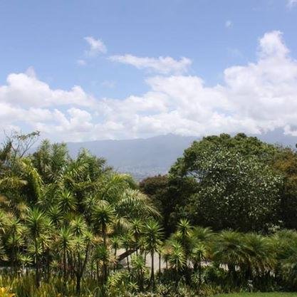 Un espacio para expresarse en una Caracas cuyas ventanas de comunicación se cierran por minuto.