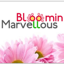 Bloomin_Marv's profile picture. The freshest #florist in town! Now at #Todmorden and #Rawtenstall markets! #Flowers starting from as little as £5, made fantastic by Stella!