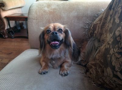 threetri333's profile picture. 