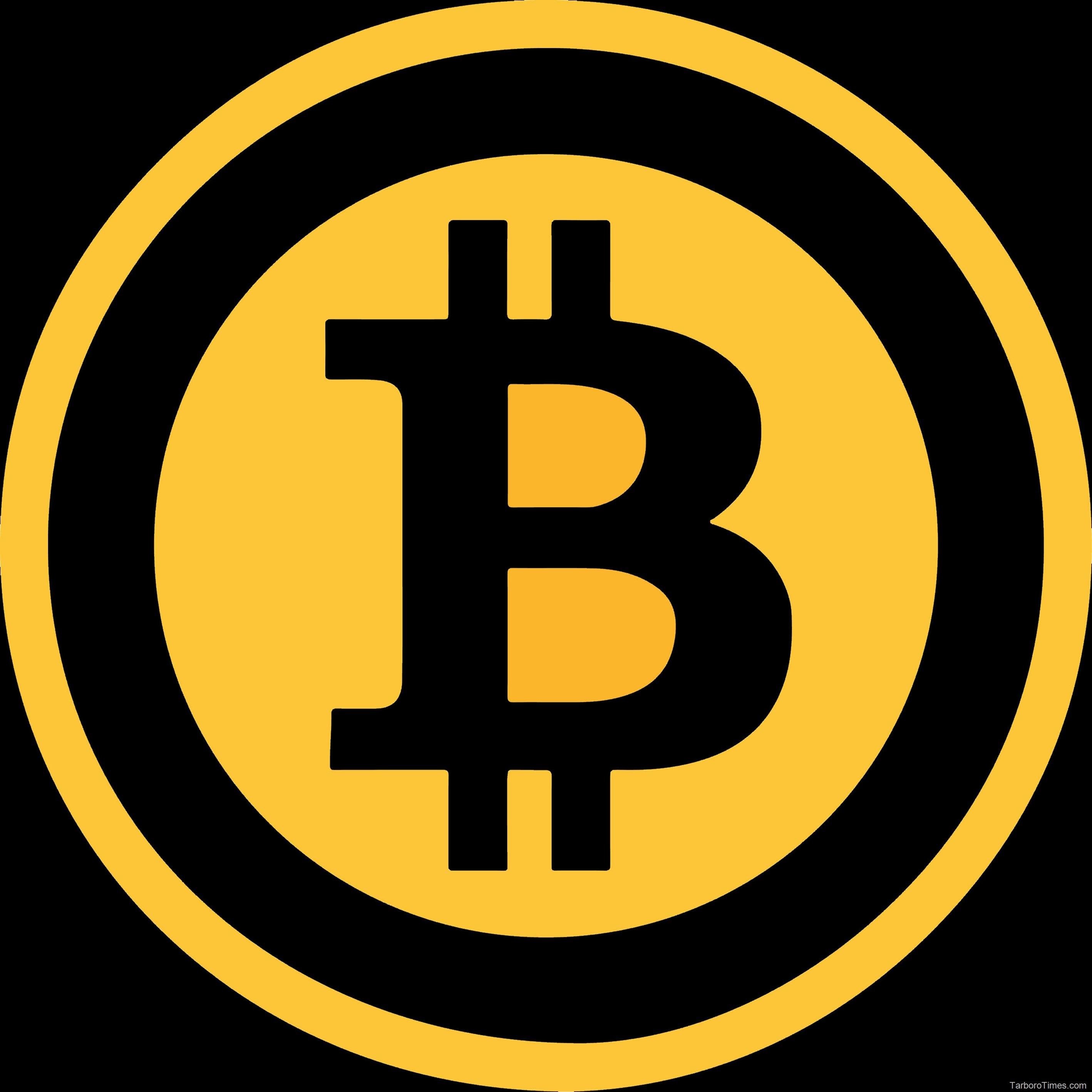 coiner561 Profile Picture
