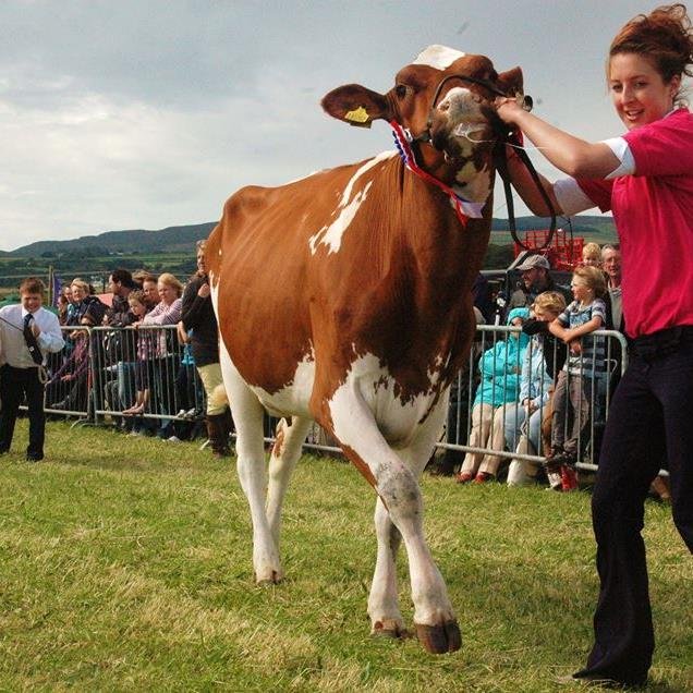 A dairy farm based in the south of the Isle of Man. Proud to supply                 
 Isle of Man Creamery