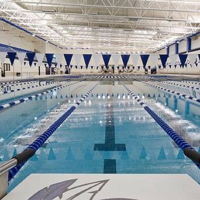 Lake Central Swimming and Diving Team