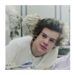 fraudharryEHS's profile picture. harreh