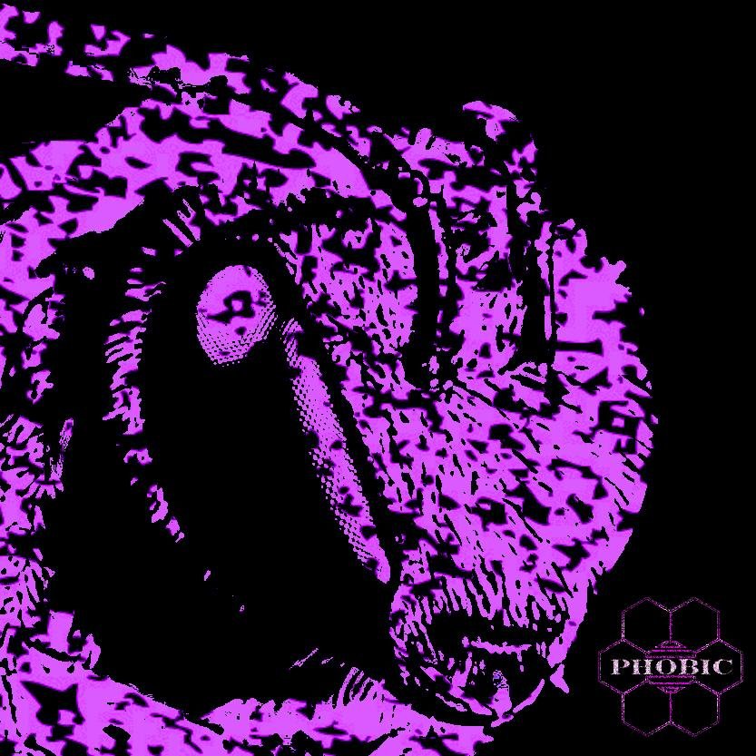 PHobicPHuture's profile picture. New album Protect the Hive out now http://t.co/JpC2TtxFWh