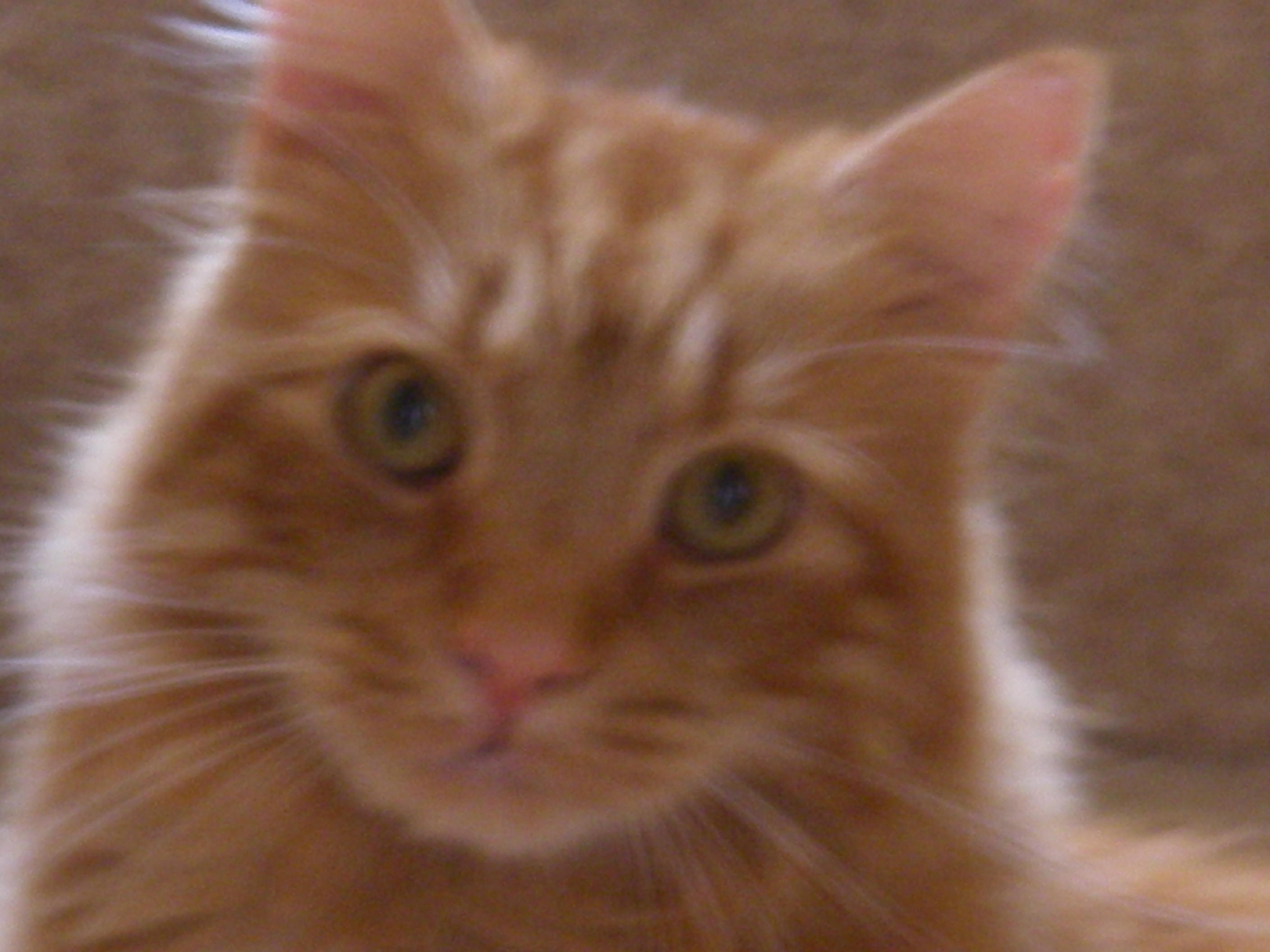 meths7's profile picture. 