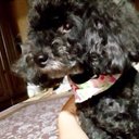 ♞Taiga♞ (@09259494taiga) Twitter