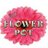 storrsflowerpot's profile image