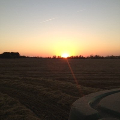 Central Alberta Beef and Crop Producer. Pedigreed Seed Grower partnered with SeCan. Power Engineer. Olds College Ag. Production Grad. Aspiring Pilot.