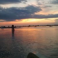 Nicola Cabria (@nicolacabria) 's Twitter Profile