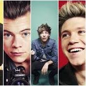 directioner de corazon tributo de profecion biliever por obligacion y mixer por uso de la razon