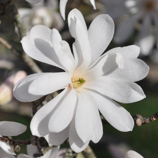 jennymadison's profile picture. PhD, former scientist, medical writer