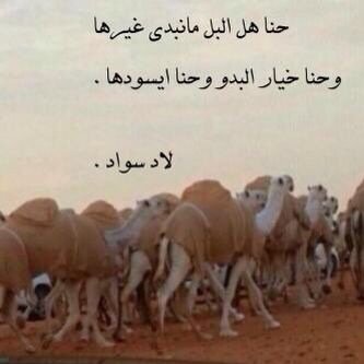 رنيه هي الاصل و ديرة الاجداد ... البل هي العشق و اجمل وقتي عندها