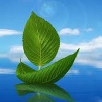 Ibrahim Musallam (@ibrahimmusllam) 's Twitter Profile