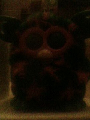 cool123411's profile picture. 