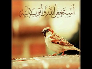 اللهم اغفر له ورحمه وتجاوز عنه وجمعنا معه بالفردوس الاعلى من الجنه