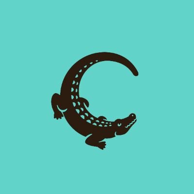 CocodriloBazar's profile picture. Somos Sole y Elsa
 Diseñamos, confeccionamos y damos vida a Cocodrilo Bazar
Nos pueden encontrar en Galería Drugstore, local 9k, Providencia