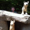 Matthew Caines - @Matt__Caines - Twitter