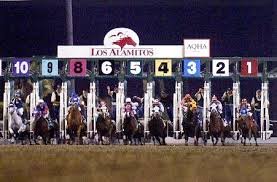 Los AL Chart Caller and Night Lines Analysis/Picks. 5x NHC qualifier,2020 Winner of Remington Park QH Challenge. Team abolish parimutuel dqs.