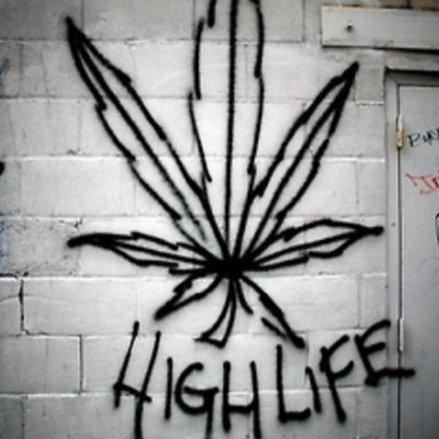 I once was here but now I'm not, I went away to smoke some pot, I put this here to prove a point, life isn't shit without a joint