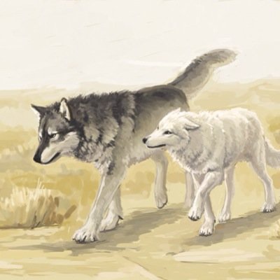 1匹狼 Koiwositaookami Twitter