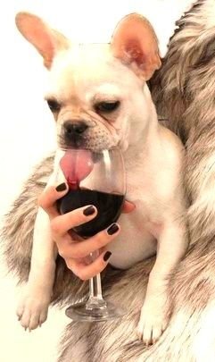 God made wine just for me