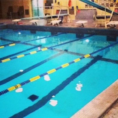 shutupandswimon's profile picture. Ask me if i can fly.