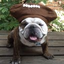 Barbara Backhaus - @BBackhaus - Twitter