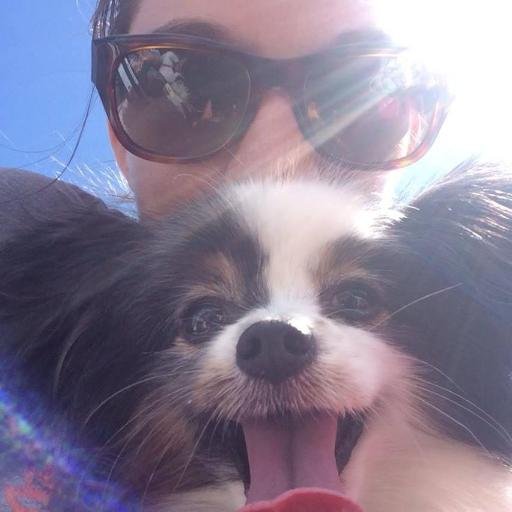 StephoftheDay's profile picture. 