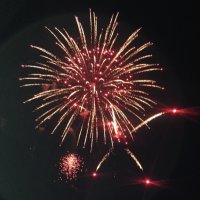 Lisa (@lisamholle) 's Twitter Profile
