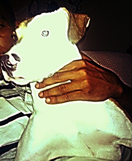 thatdamndeal's profile picture. man on a mission